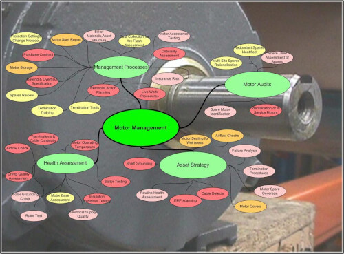 Best Practice Motor Management