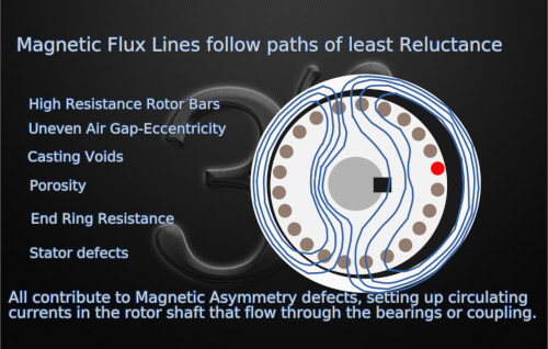 Rotor Defects affect Motor Efficiency